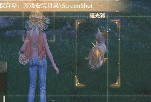 获取曦光毛团