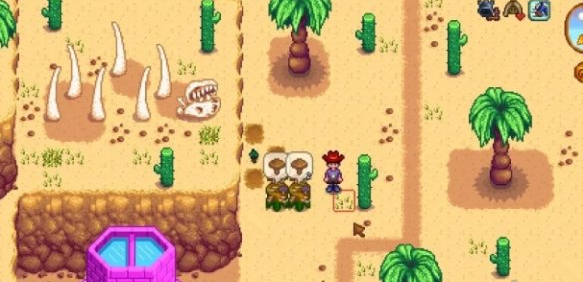 星露谷物语蘑菇树桩流玩法