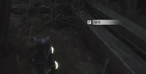 老鼠捕捉位置