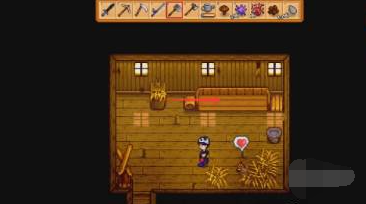 星露谷物语养鸡技巧