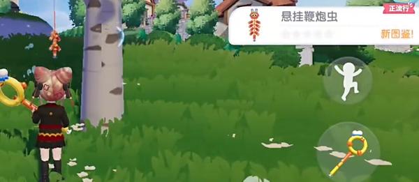 悬挂鞭炮虫分布