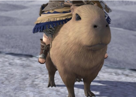 最终幻想14水晶世界梅瓦皮亚拉坐骑获取方法 最终幻想14水晶世界梅瓦皮亚拉坐骑获取方法