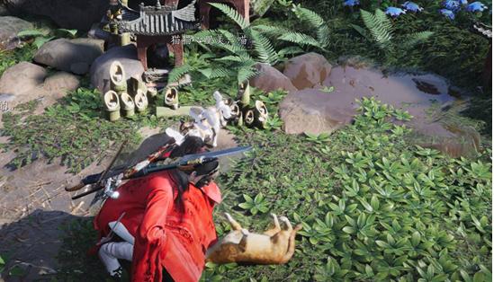 不同地区喵喵庙差异