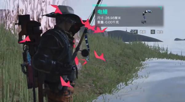 七日世界5级电鳗钓点位置