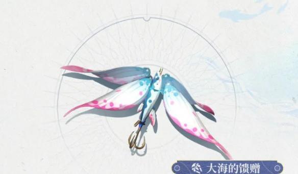 大海的馈赠惊喜不断
