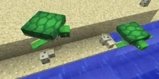 我的世界海龟蛋孵化教程 我的世界海龟蛋孵化教程