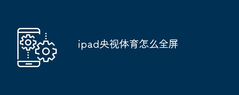 ipad央视体育全屏观看教程