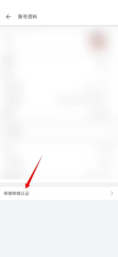 哔哩哔哩企业认证申请