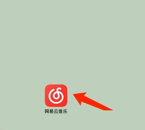 网易云音乐应用管理方法