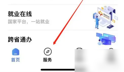 登录掌上12333并进入服务页面