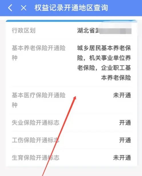 权益记录查询结果