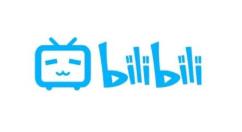 哔哩哔哩双指旋屏手势设置示意图