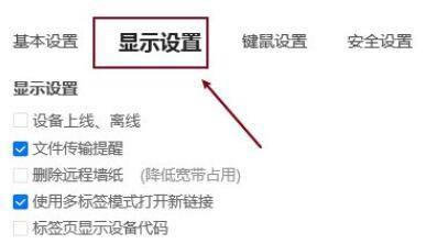 ToDesk显示设置操作