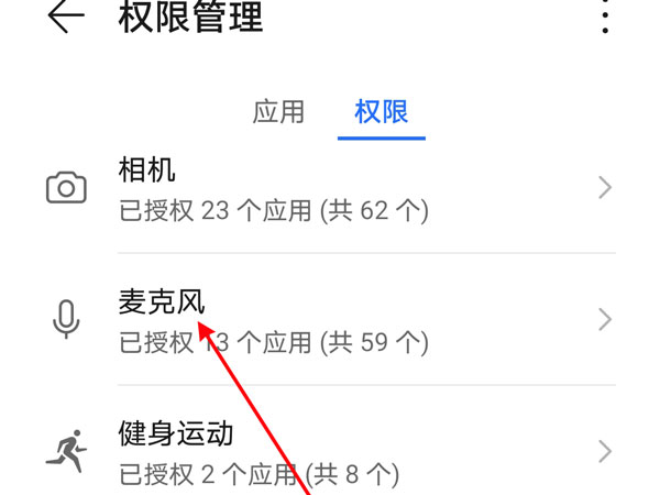 麦克风选项