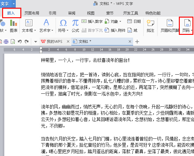 WPS Office 设置起始页步骤二