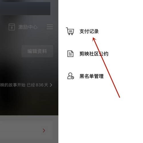 支付记录展示