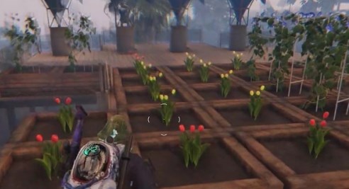 七日世界污染区种植指南