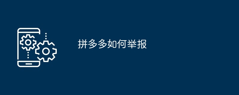 如何在拼多多上举报问题 附图文详解