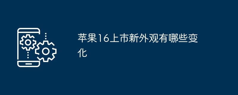 苹果16全新外观展示