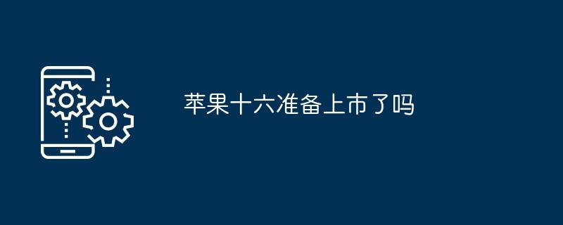 苹果十六最新消息