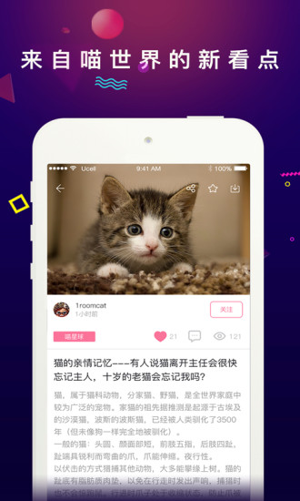 每日一猫客户端下载_每日一猫app下载v1.1.9 安卓版 运行截图4