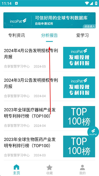 专利大王分析报告页面