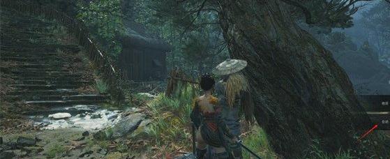 明末渊虚之羽羽化祭司打法